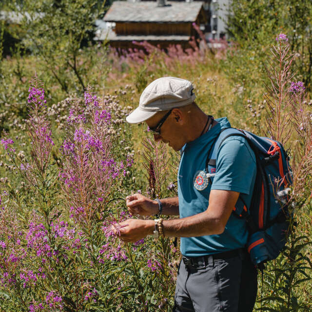 Le Chemin des herbes