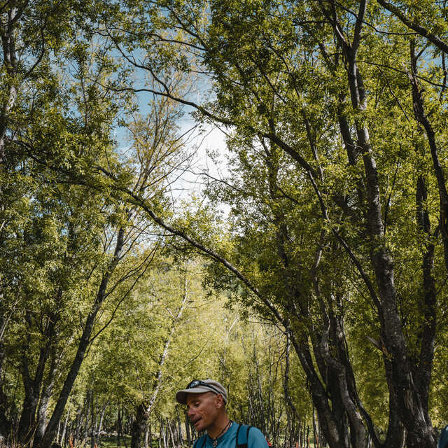 L'univers extraordinaire des arbres