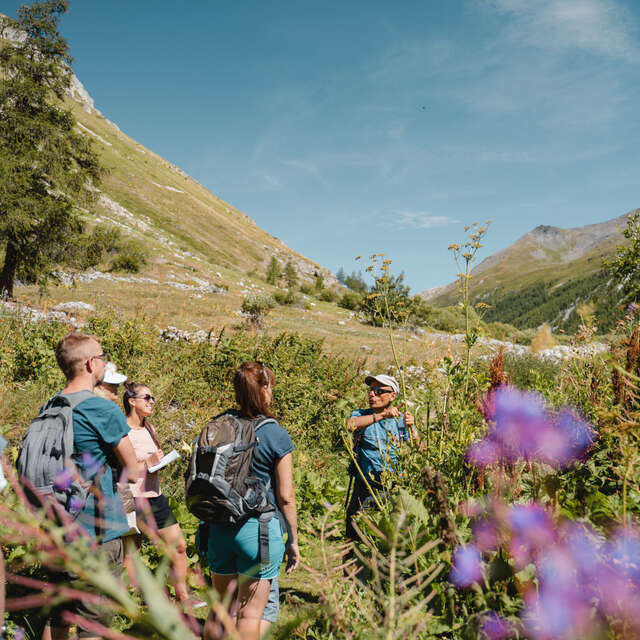 Marche en pleine conscience