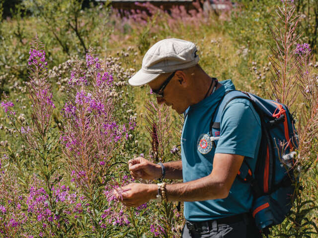 Le Chemin des herbes