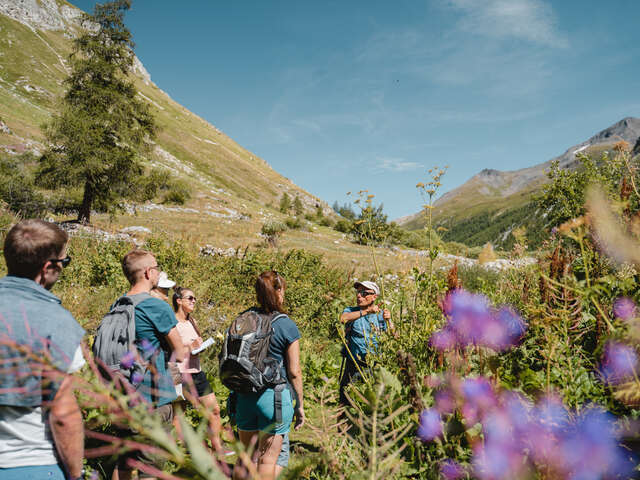 Marche en pleine conscience