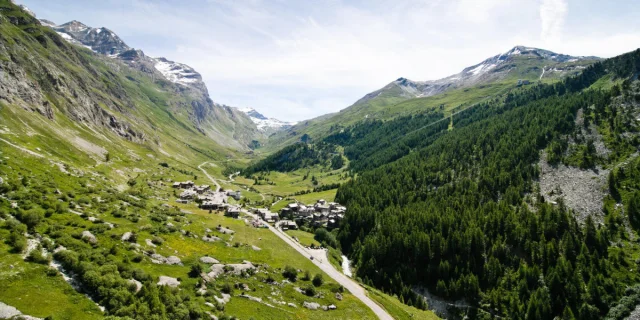 Aerial view of the village in summer